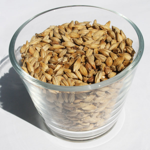 Malt Pale-Ale