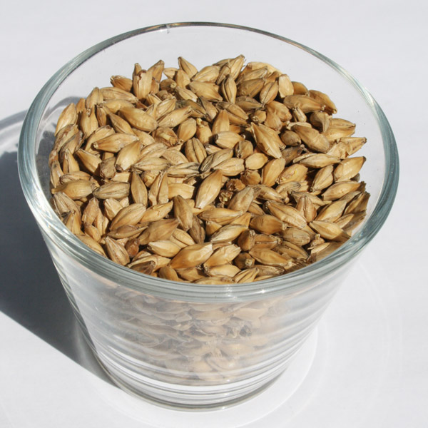 Malt Pilsen