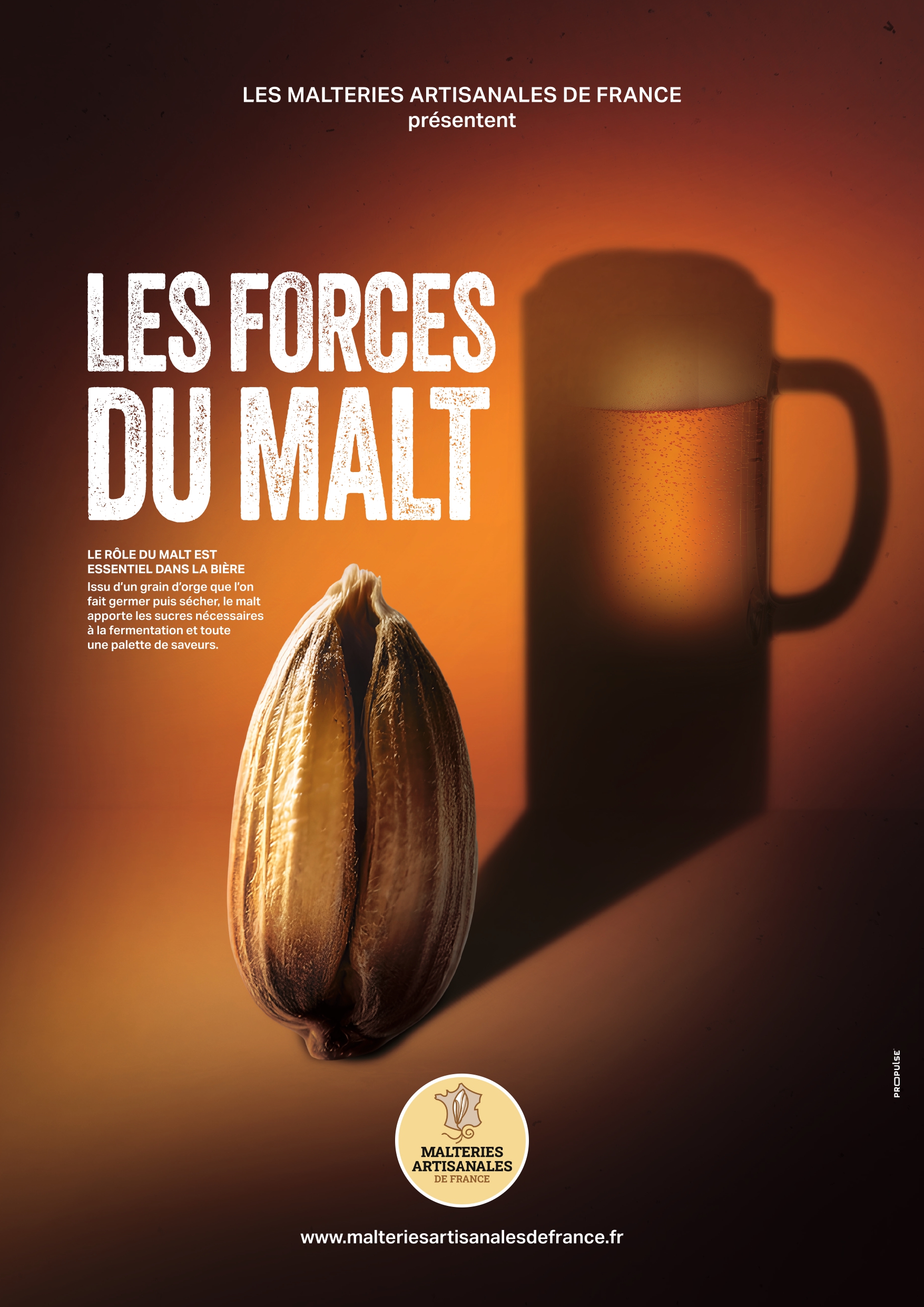 Affiche Forces du malt